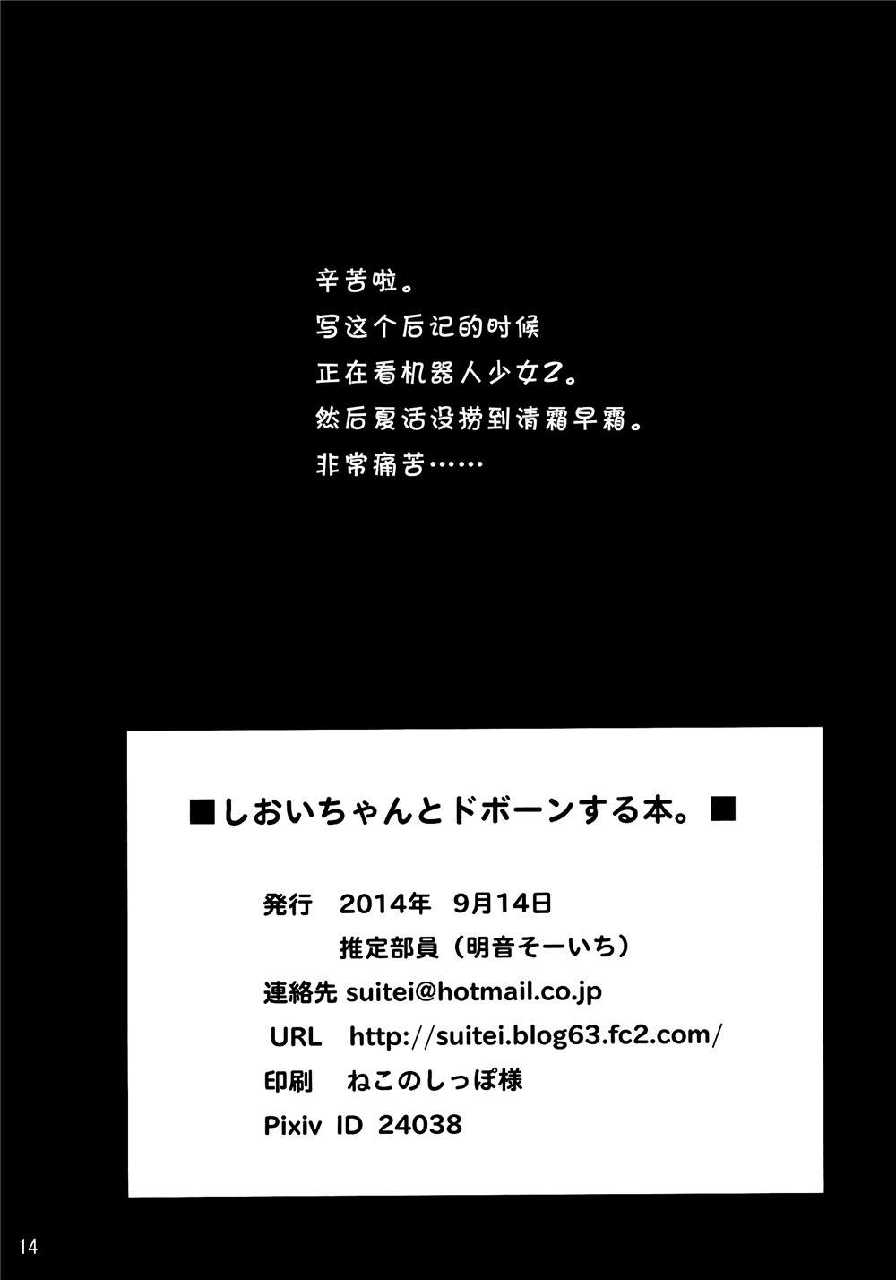 第13页