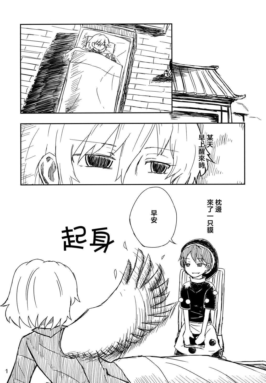 第2页