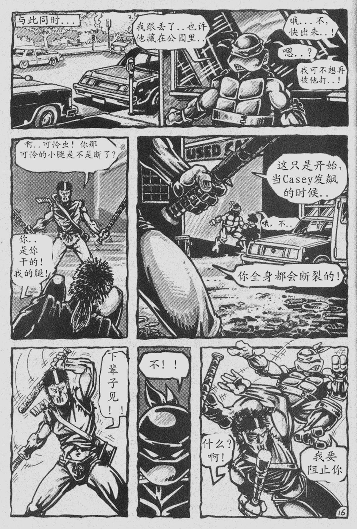 第17页