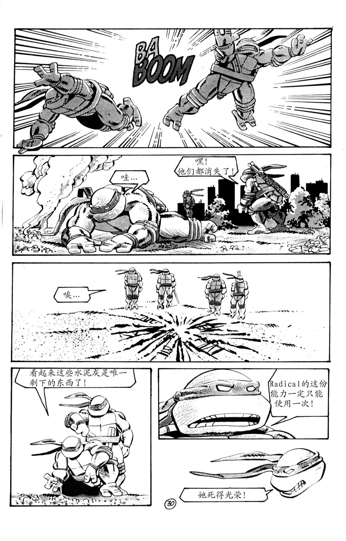 第30页