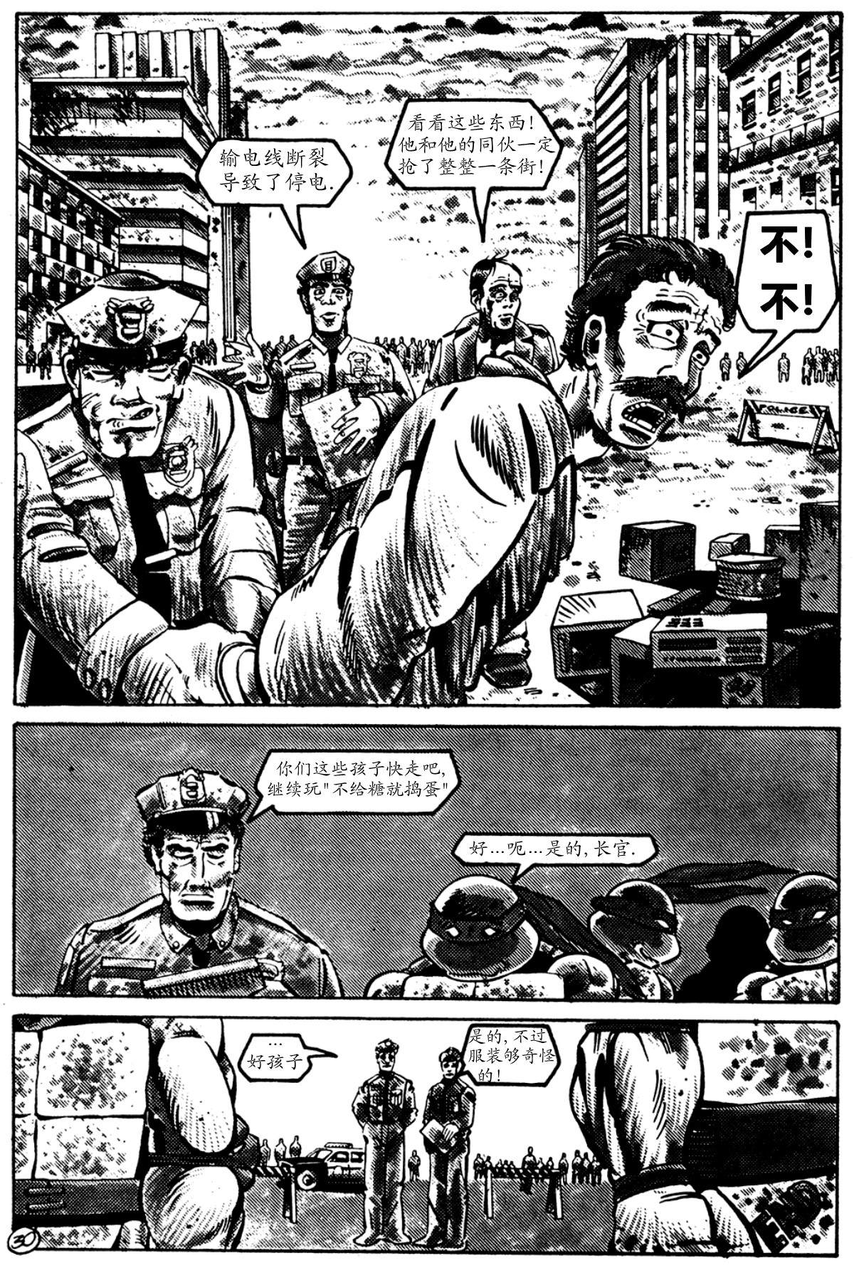 第30页