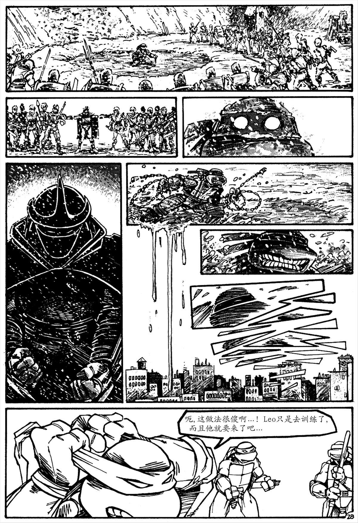 第29页