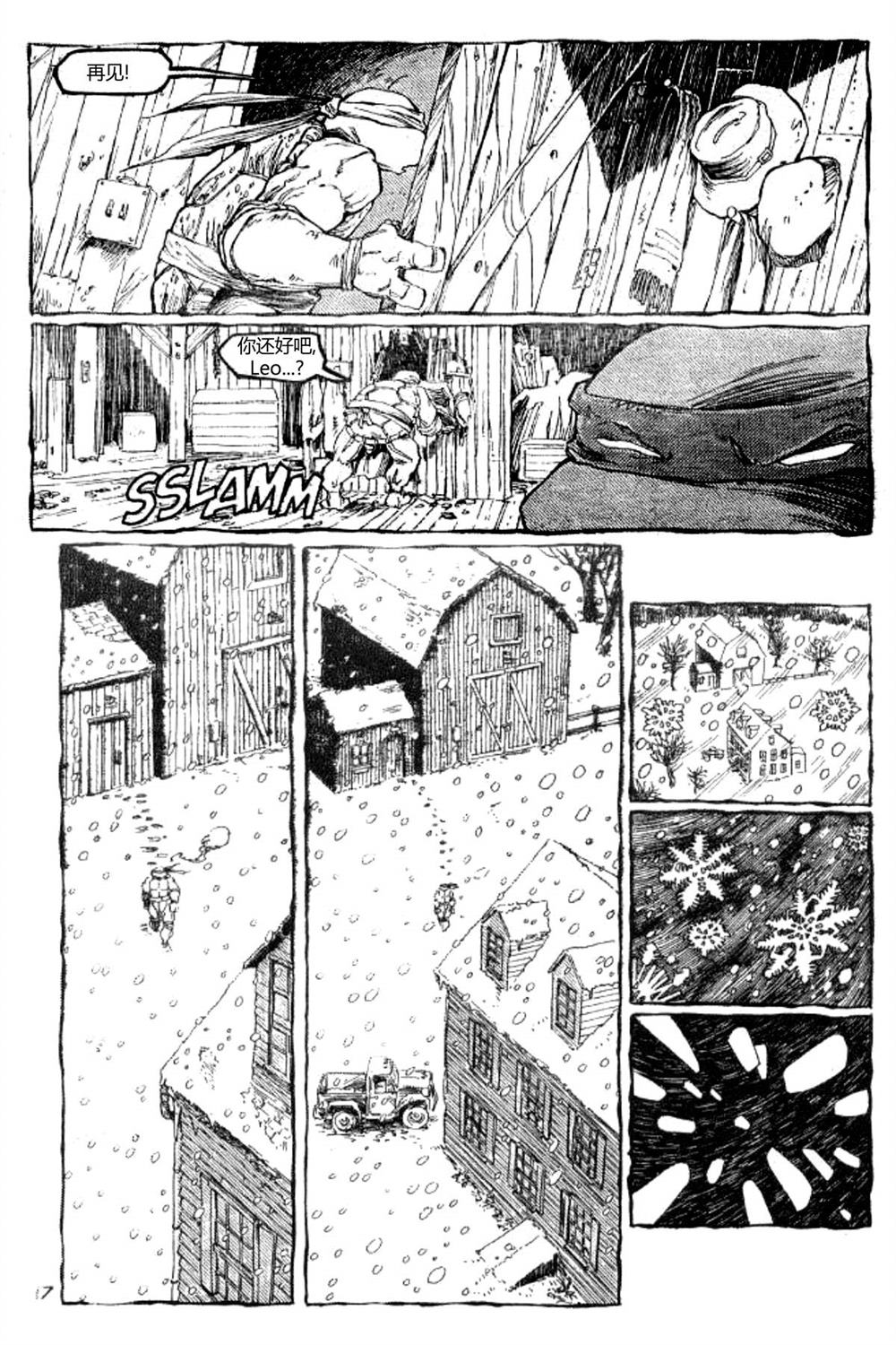 第17页