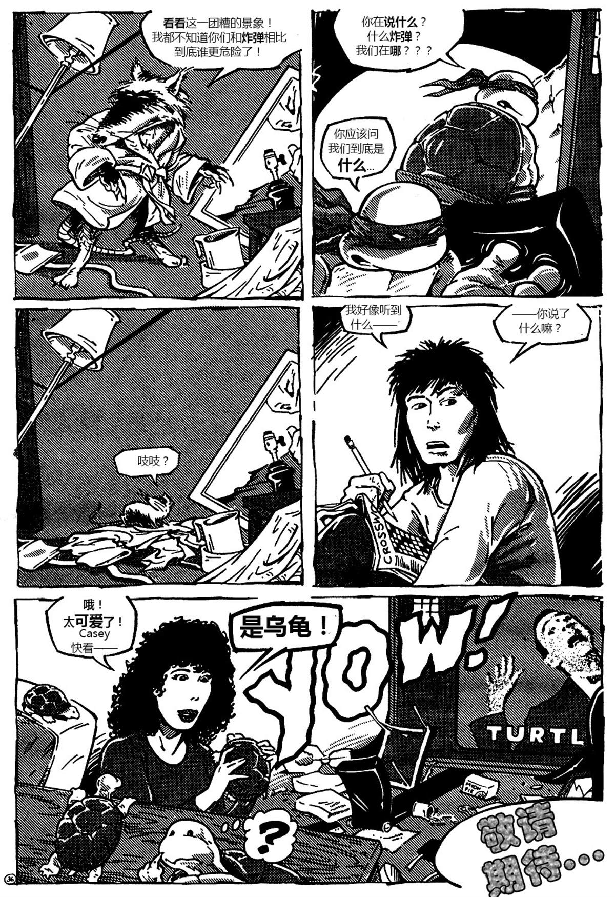 第37页