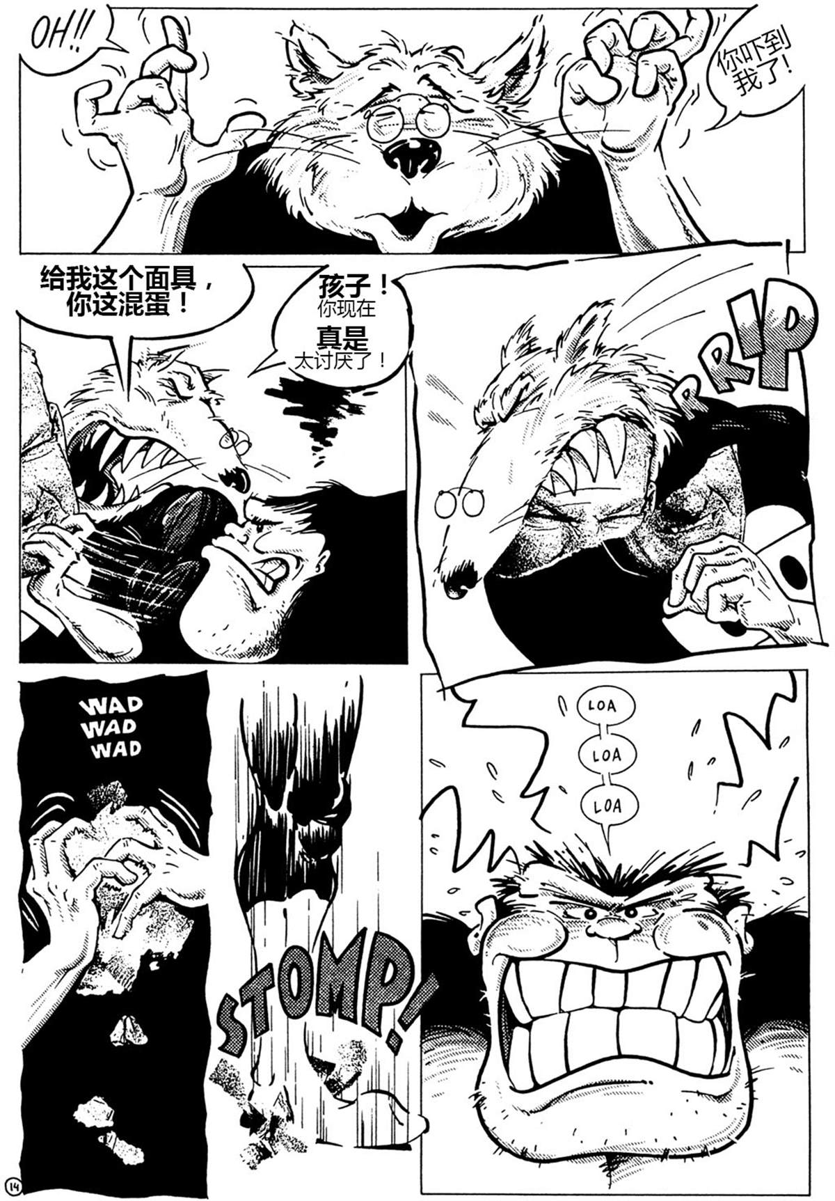 第17页