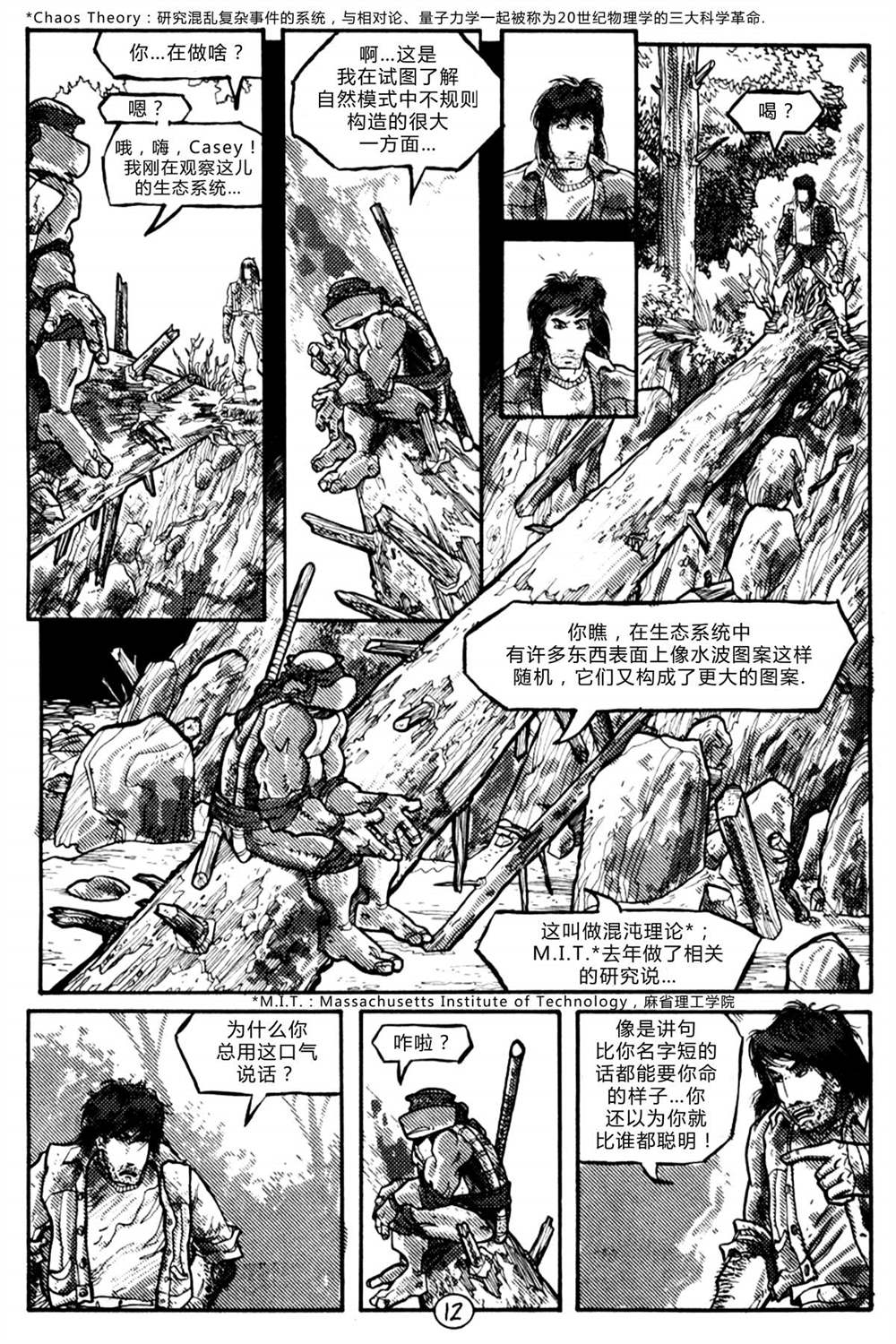 第12页