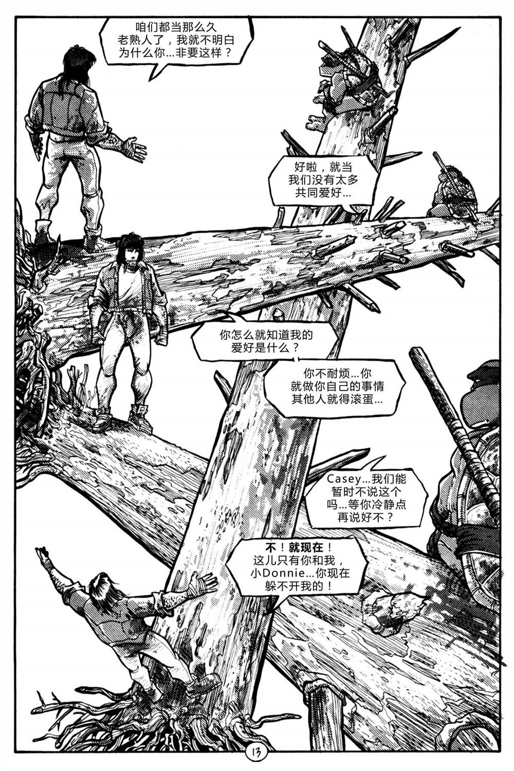 第13页