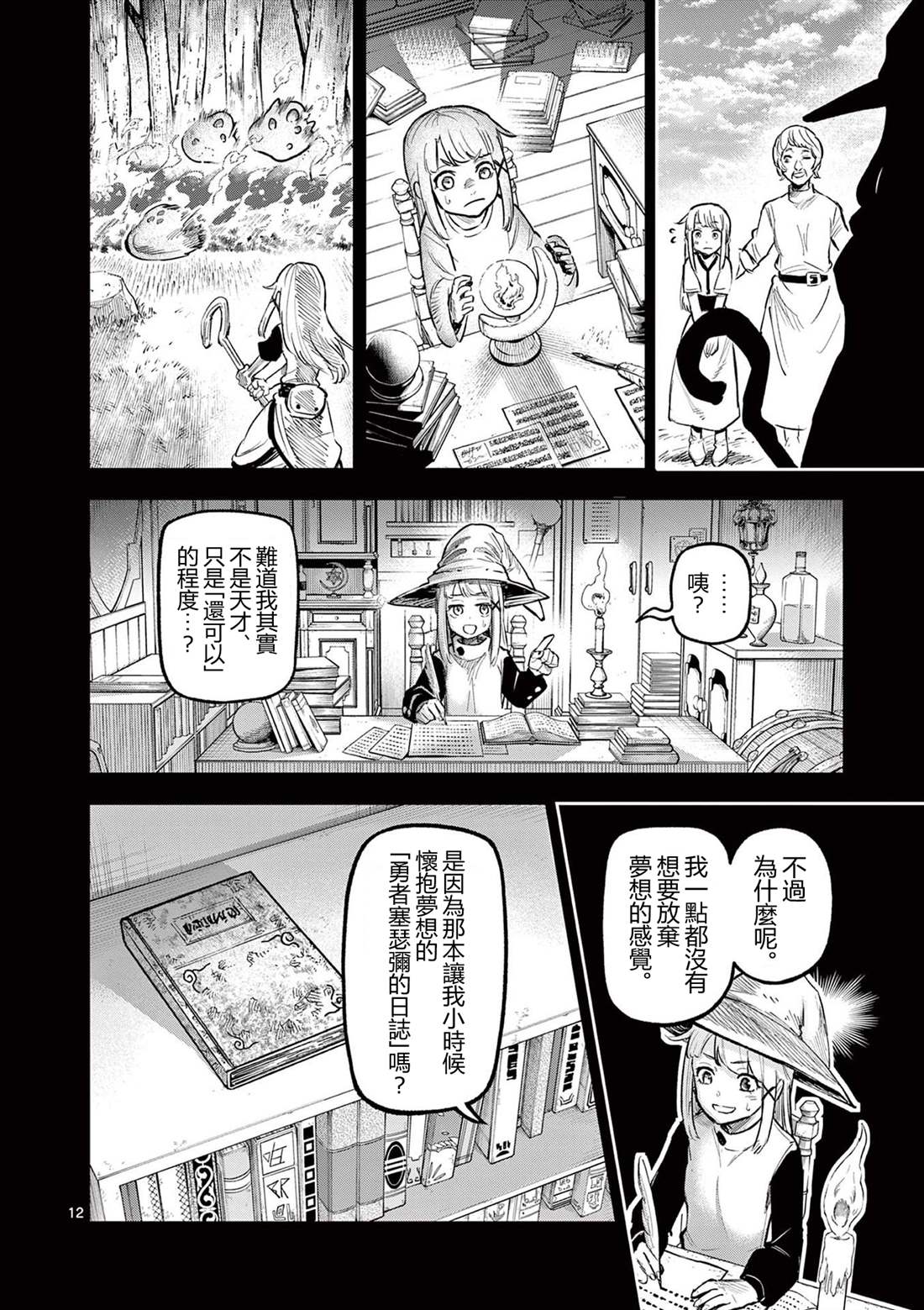 第12页