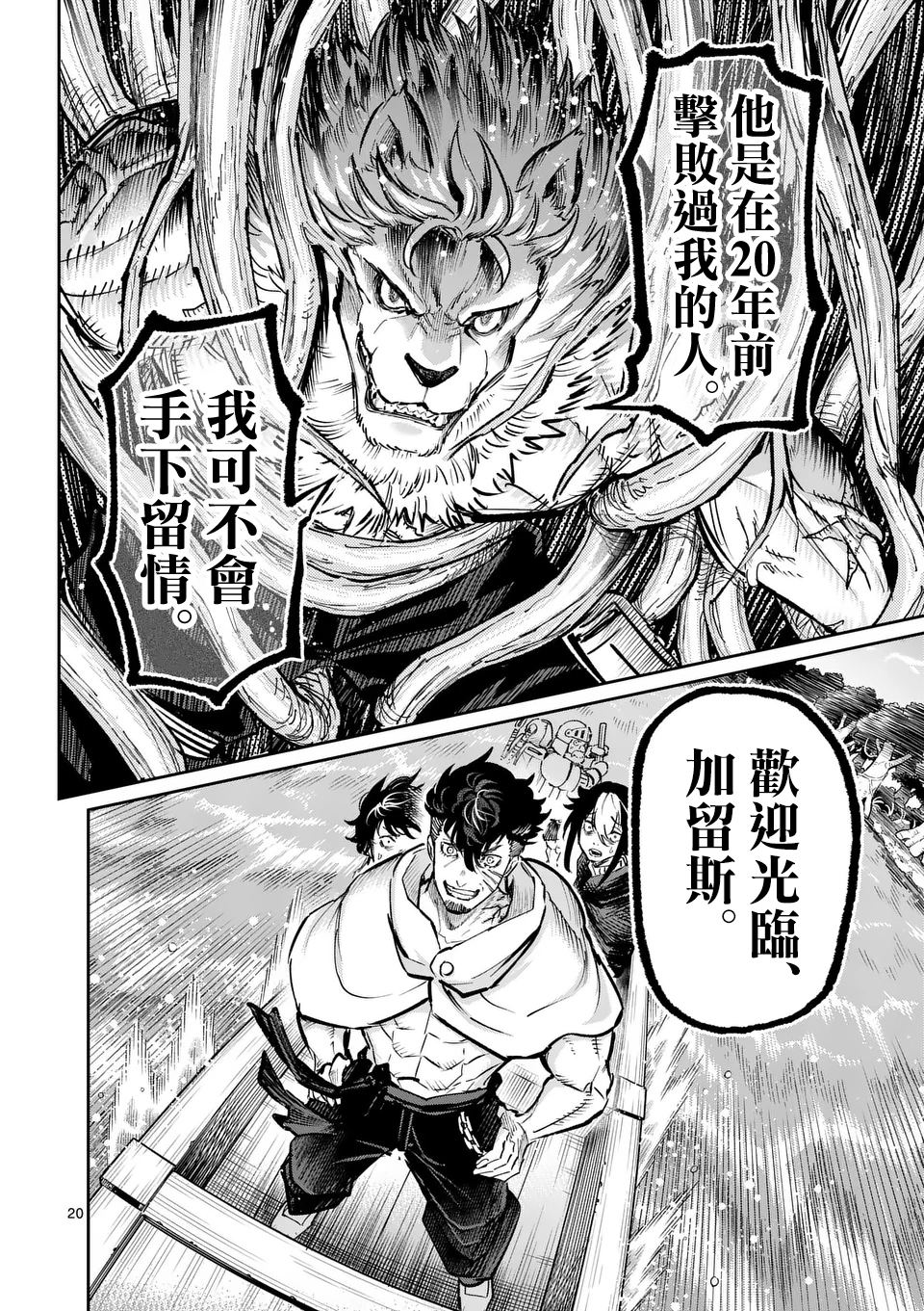 第20页