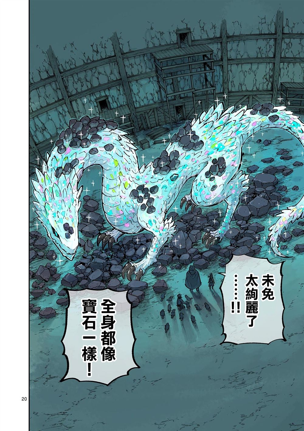 第20页