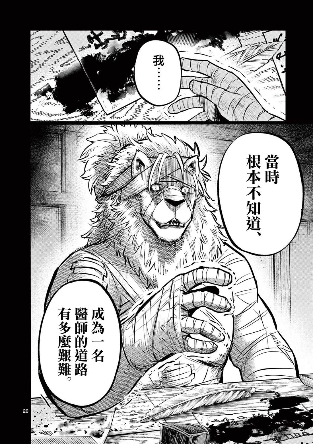 第20页