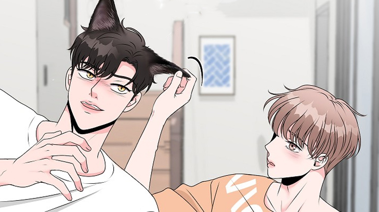 类似猫猫初体验的高分漫画推荐高分版